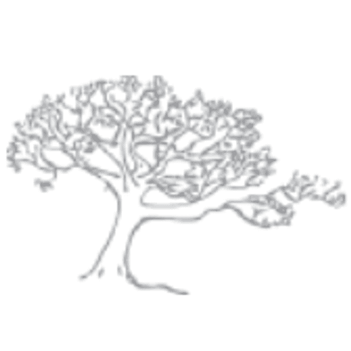 Sprenger Wellspring Silver Maple